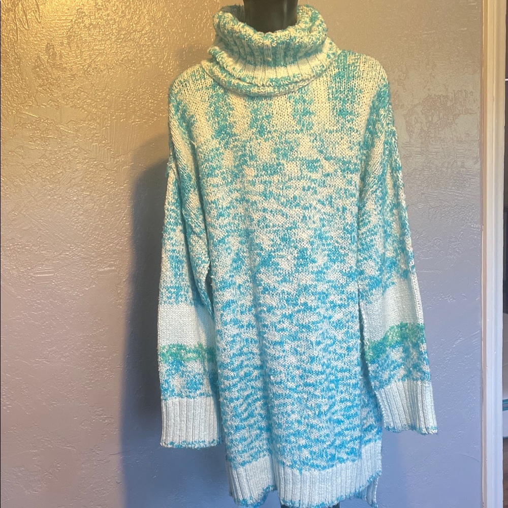 Free People Turquoise and Cream Turtleneck Sweater